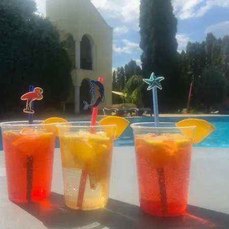 Apartment Pool Siofok